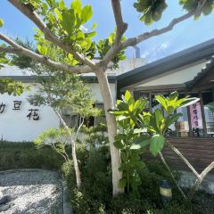 成功豆花張用戶圖片