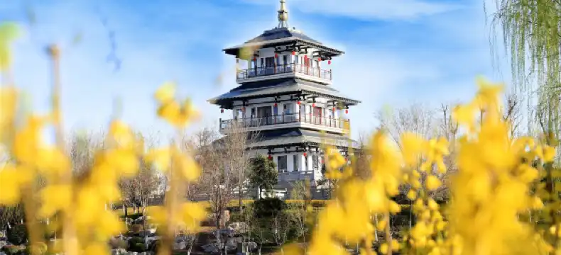 Ningyang İlçesi otelleri