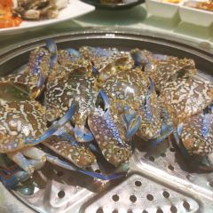 Yuebaihaihaixianzhengguo (haiwan) ảnh của người dùng