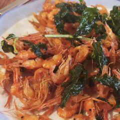 鱼知味 User Photo