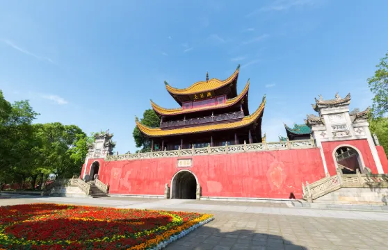 湖南長沙岳陽樓+洞庭湖+君山島一日遊【純玩包車+上門接送】