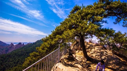 Lvshanguojia Forest Park