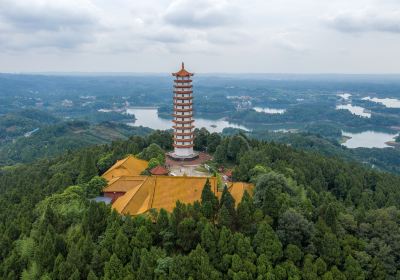 인수흑용탄