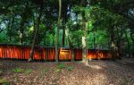 Fushimi Inari Taisha