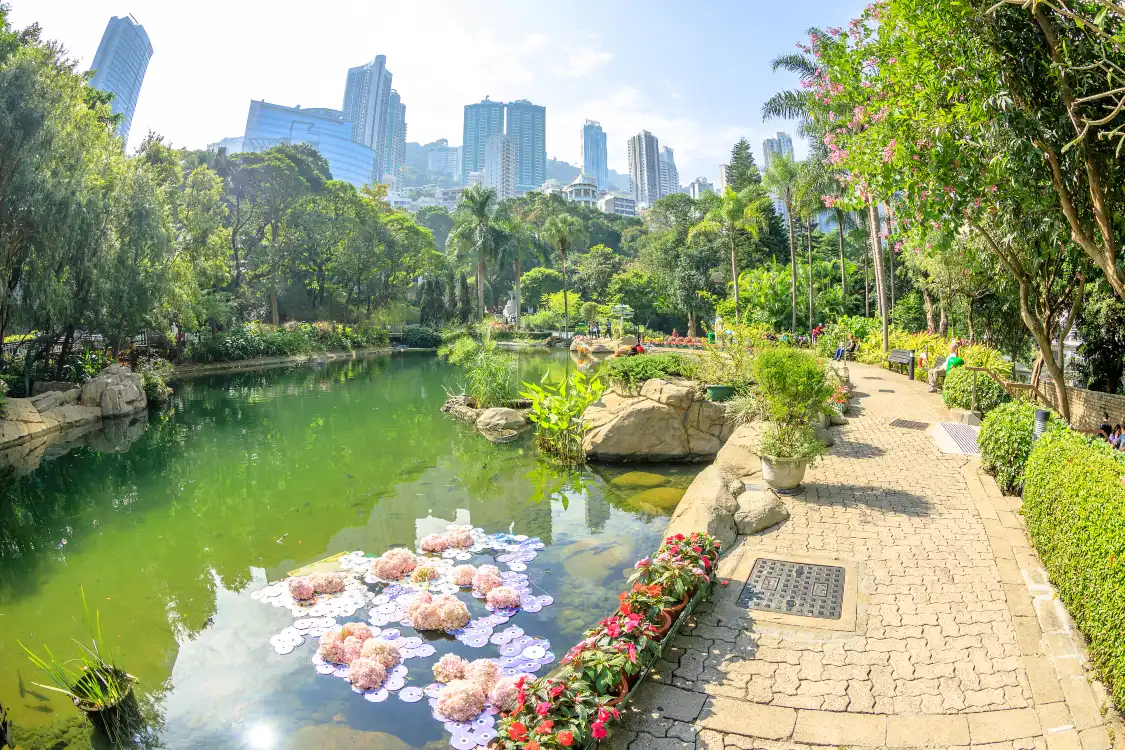 Hotels near Garden Rivera