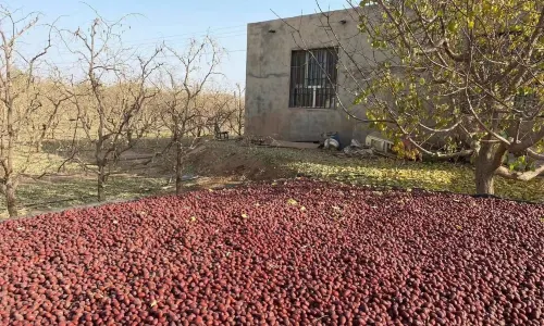 Taierzhuang Ancient Town