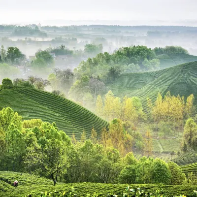 Các khách sạn ở Tín Dương