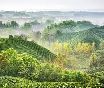 Các khách sạn ở Tín Dương