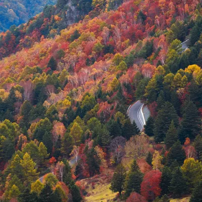 4-звездочные отели в г. Такаяма