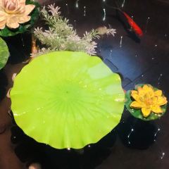 YU XIAN DU User Photo