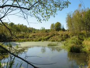 宋夾城考古遺址公園