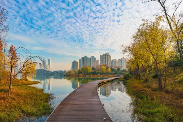 2-Star-Hotels in Suining