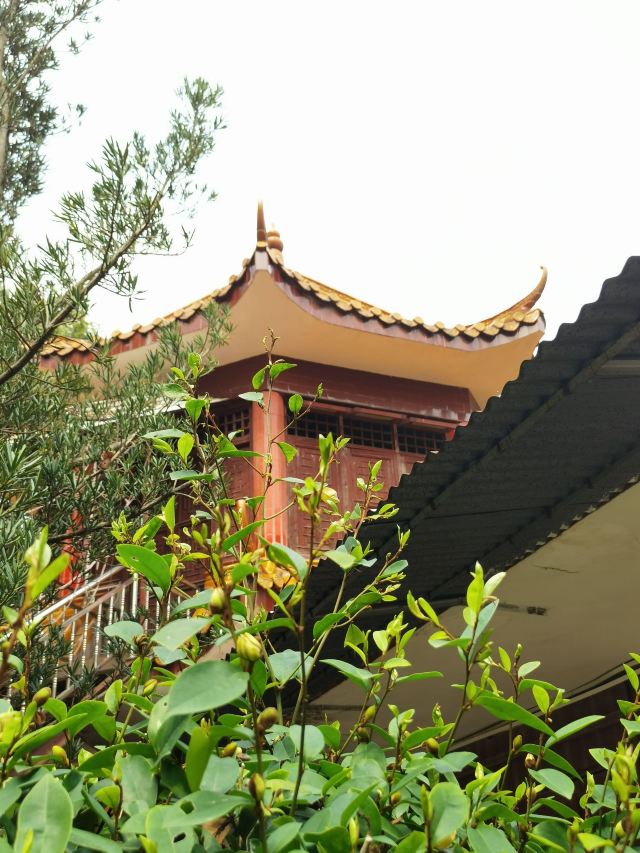 Guangdong Shenguangshan Forest Park