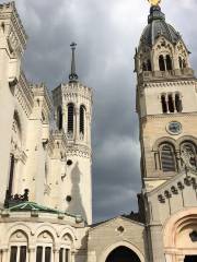 Basilica of Notre Dame of Fourvière