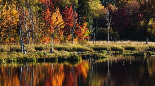 Torrance Barrens Dark-Sky Preserve