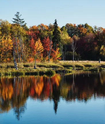 Air Canada Flights to Sioux Lookout