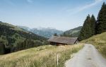 Bavarian Alps