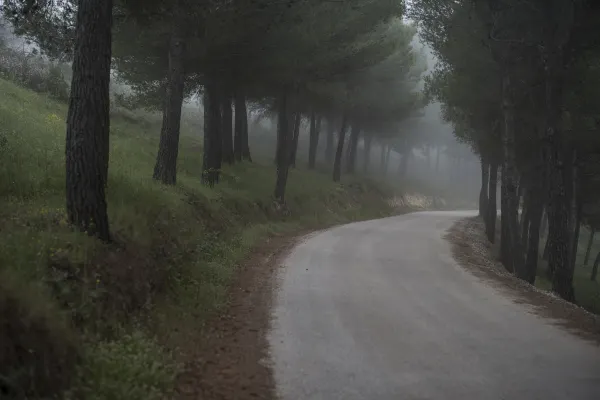 돌산평산리고니도래지 주변 호텔