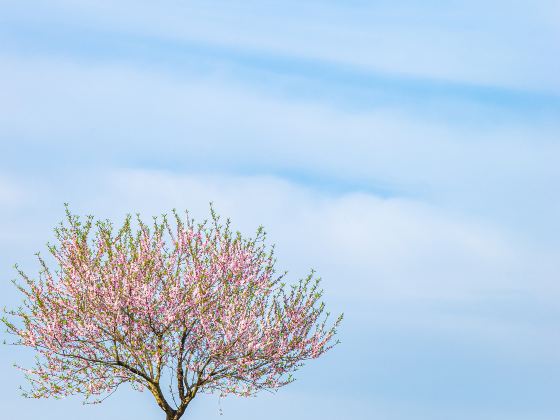 바이사먼 공원