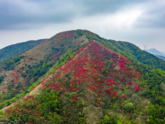 通天蠟燭山