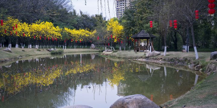 Guangdong Shaoguan Furongshan National Mine Park