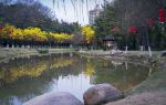 廣東韶關芙蓉山國家礦山公園