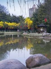 อุทยานเหมืองแร่แห่งชาติ Shaoguan Furongshan มณฑลกวางตุ้ง