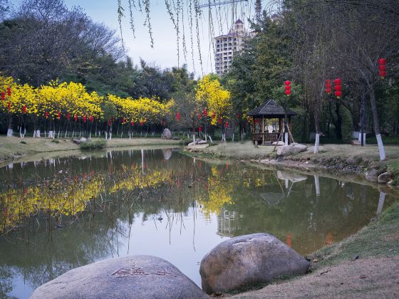 Guangdong Shaoguan Furongshan National Mine Park