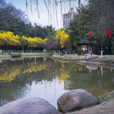 韶關 飛 香港