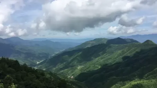 連綿成片，競相怒放，它們耐貧瘠、耐乾旱，在幽靜的山野深處默默