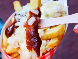 Vleminckx Fries