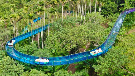 【檳榔谷汽車純玩一日遊（精品大團）】三亞來回【2人起訂！ 】