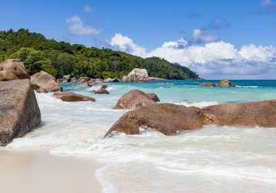 Anse Lazio