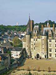 Castello di Langeais