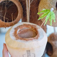 清爽清补凉 ảnh của người dùng