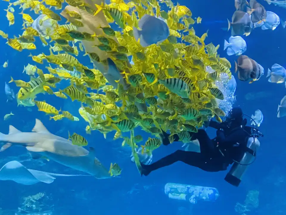 3_Beijing Andover Taipingyang Under Water World