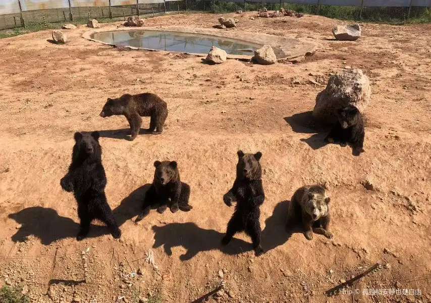 Wan'an Mountain Wildlife Amusement Park