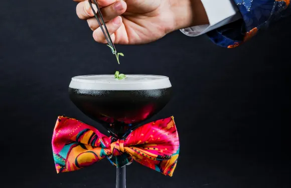 Parrotfish - Punta de Mita