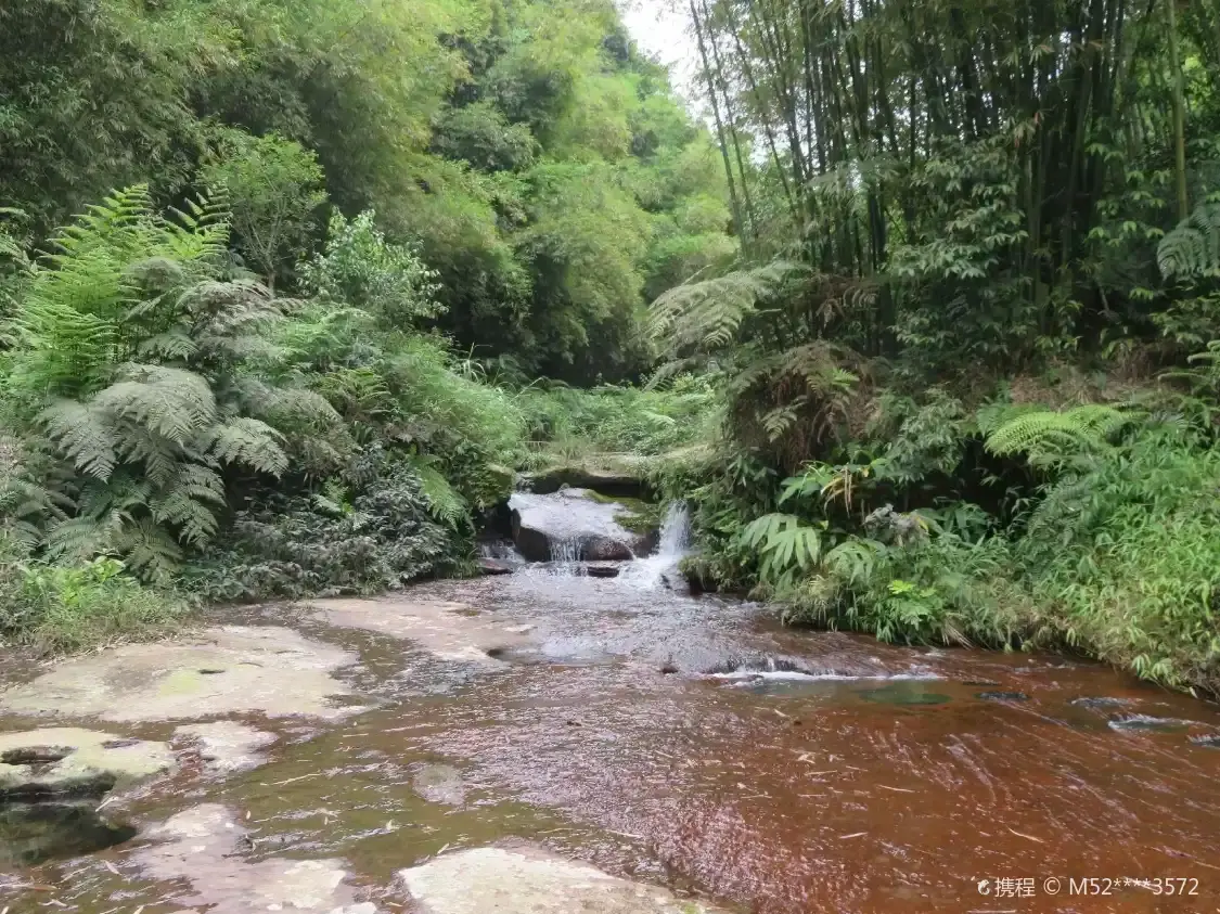 Hotels near Moxi