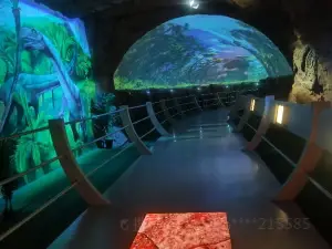 Time Tunnel, Xixia Dinosaur Relics Park of China