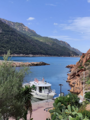 Promenades en Mer Corse Adrénaline