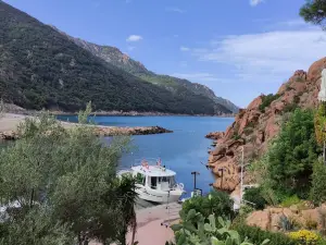 Promenades en Mer Corse Adrénaline