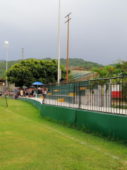 Unidad deportiva Agustín Flores Contreras