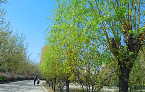 Wuyang