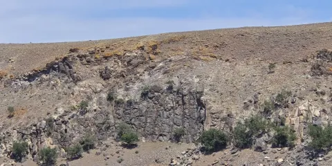 砧子山巖畫