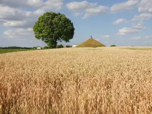 Waterloo Battlefield