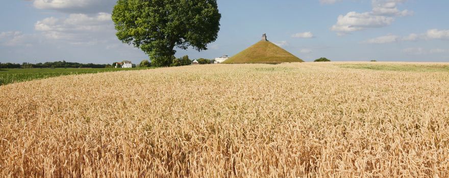 Waterloo Battlefield
