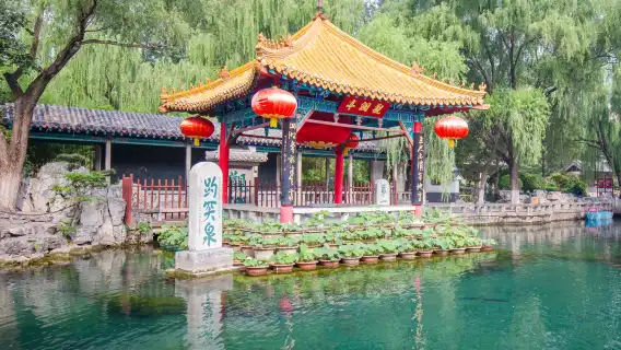Jinan Baotu Spring + Shandong Museum + Qianfo Mountain Scenic Area + Daming Lake Scenic Area Private Charter 1-day Tour with English Service Available