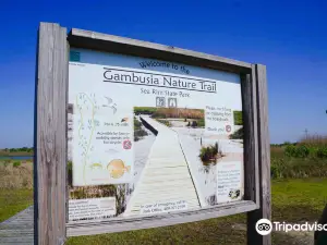 Sea Rim State Park