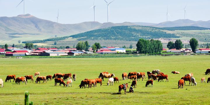 Yudaojou Ranch